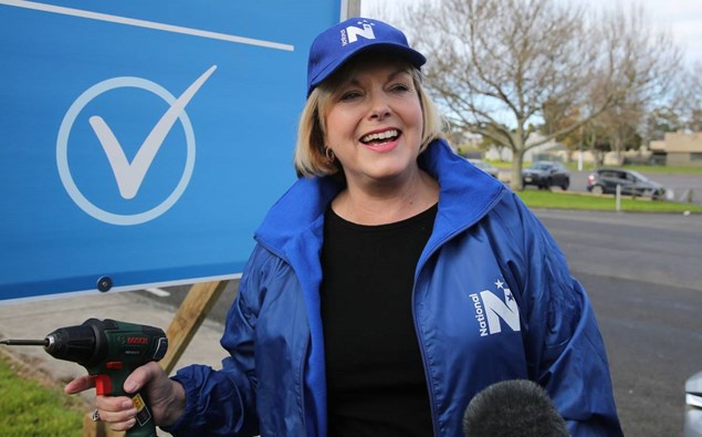 National leader Judith Collins isn't buying into the latest Newshub poll. (Photo / File)