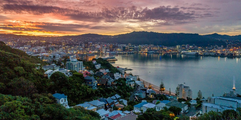 Should the government intervene at Wellington City Council? Photo / NZME