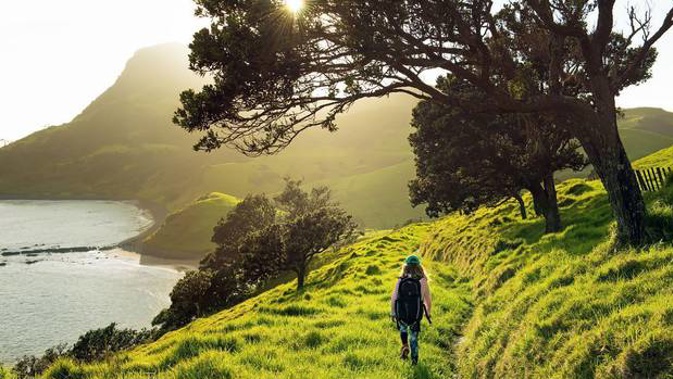 National has promised to make another National Park on the Coromandel. Photo / Supplied