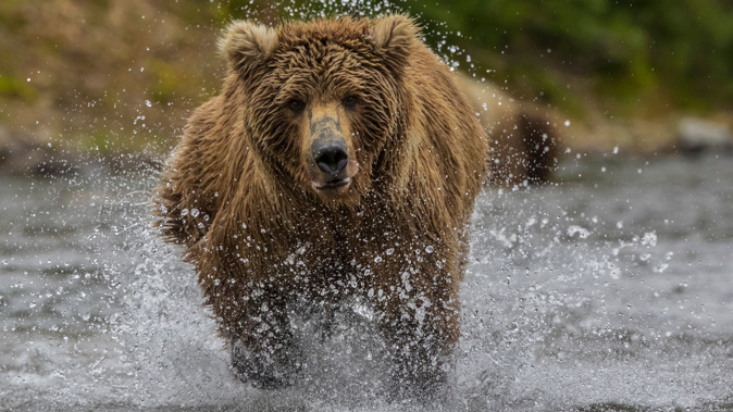 (Photo / Getty Images)