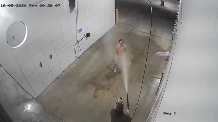 The young man was filmed earlier this month on the Sunshine Coast. (Photo / Parkland's Car & Dog Wash - Facebook)
