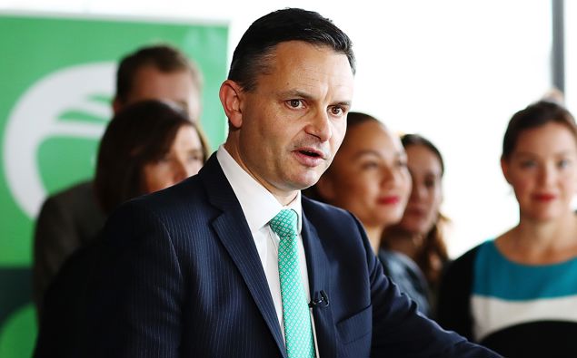 Green Party co-leader James Shaw. (Photo / Getty)