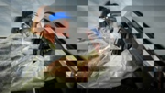 (Photo / Paul Taylor, file)