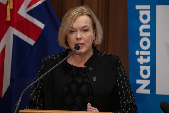Judith Collins has announced National's plan to tackle methamphetamine. Photo / Supplied