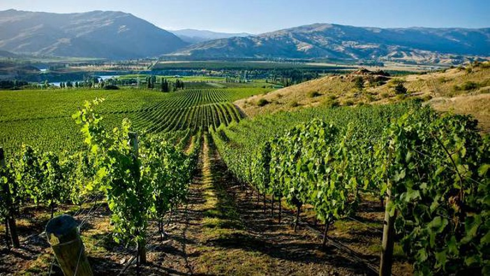 The Central Otago wine region.