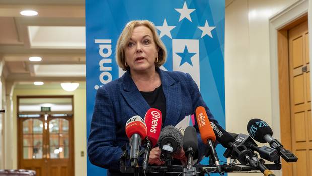 National leader Judith Collins. (Photo / File)