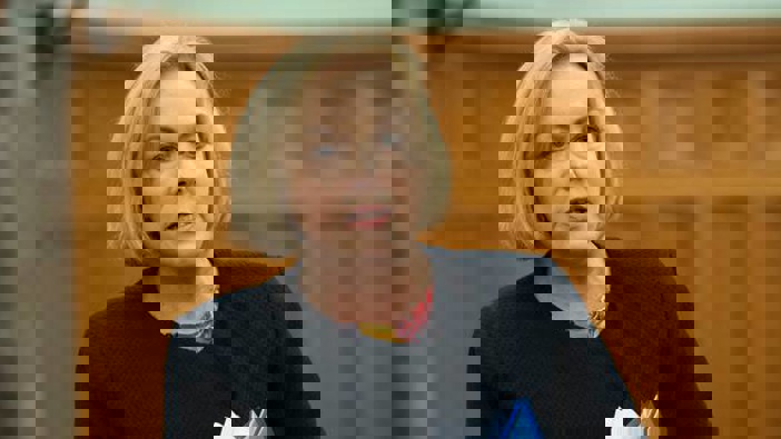 Judith Collins. (Photo / NZ Herald)
