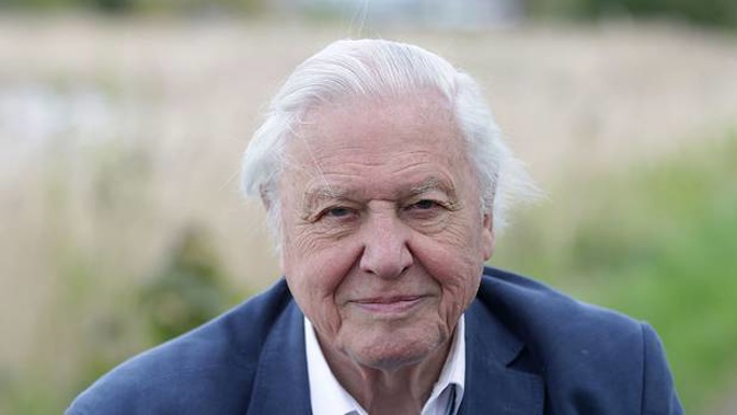Sir David Attenborough. Photo / Getty Images
