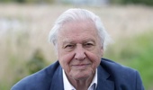 Sir David Attenborough. Photo / Getty Images