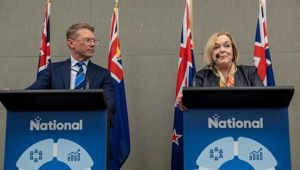 Heather du Plessis-Allan: National's budget blunder does them no favours