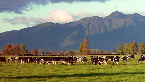 Explained: Do farmers need to keep staffing levels up?