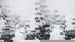 Queenstown residents woke up to a white blanket of snow. Photo / James Allan