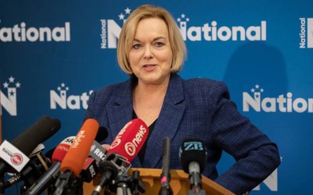 National Party leader Judith Collins says National voters worried about the Greens in government should vote National, not Labour. Photo / Mark Mitchell