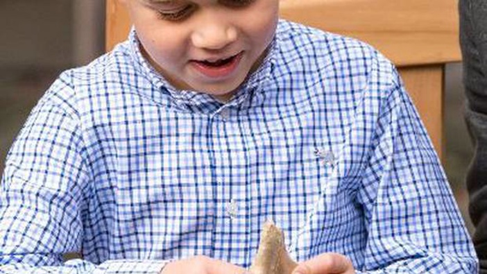 Prince George and the shark tooth that was gifted to him by Sir David Attenborough. Photo / @KensingtonRoyal