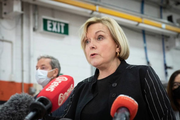 Judith Collins says she will door-knock big business to get wage subsidy back. (Photo / NZ Herald)