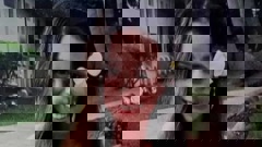 Maria Witehira, a 16-year-old Morrinsville College student, died suddenly on August 23 in a suspected suicide. Photo / Supplied