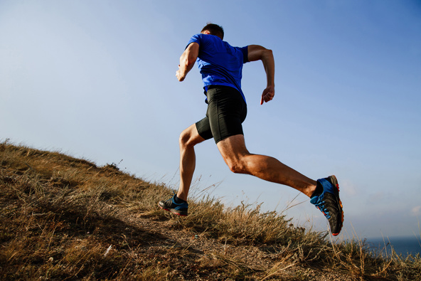 Researchers said the gluteus maximus was the key to speed. (Photo / Shutterstock via CNN)