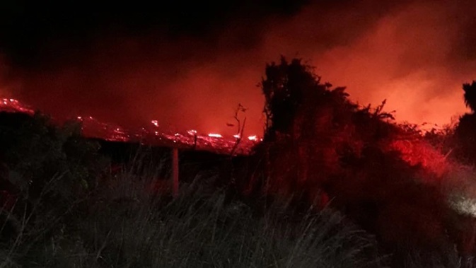 A major forest fire is burning through pine forest and grass in the Mackenzie Basin, and it's being fanned by strong westerly winds. (Photo / Supplied)