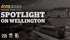 Spotlight on Wellington: Focus on the key issues facing Hutt South and Remutaka