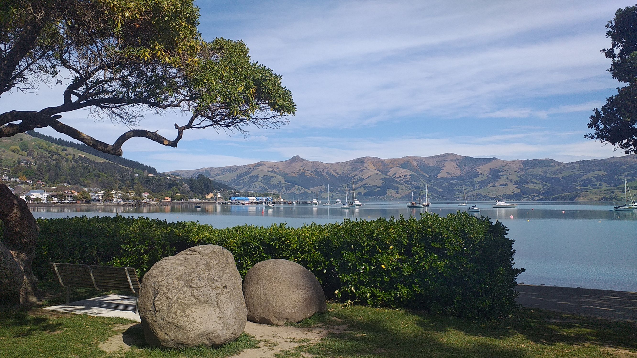 Mike Yardley Turning Heads In Akaroa Banks Peninsula