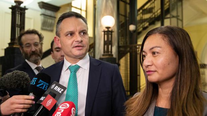 Green Party co-leaders James Shaw and Marama Davidson. (Photo / NZ Herald)