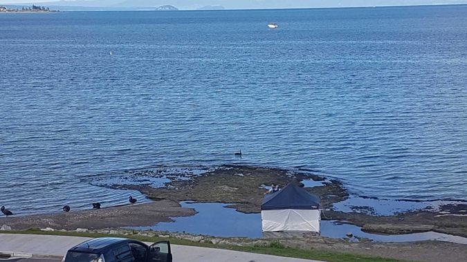 Detective Senior Sergeant Ryan Yardley says police are making inquiries after two bodies were found by a member of the public near Mere Rd, Lake Taupō.