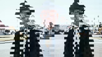 Māori Party back in Parliament as Rawiri Waititi wins Waiariki