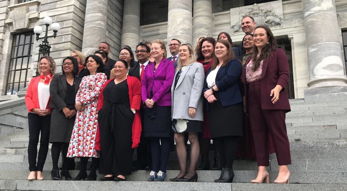 The newly elected Labour party MPs pose on the steps of Parliament in Wellington. (Photo / Mark Mitchell)