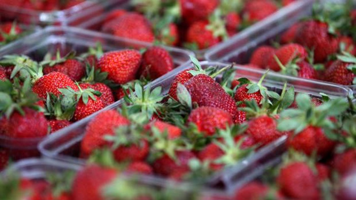 Nici Wickies shares her Rhubarb and Strawberry tart recipe. Photo / file