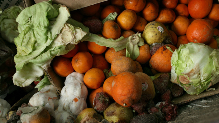 New Zealand households waste 157,398 tonnes of food each year. Photo / file