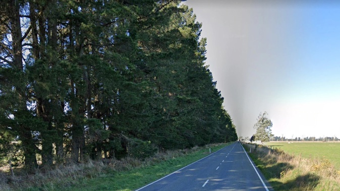 The Christchurch man punched a contractor over tree-treeming. Photo / Google