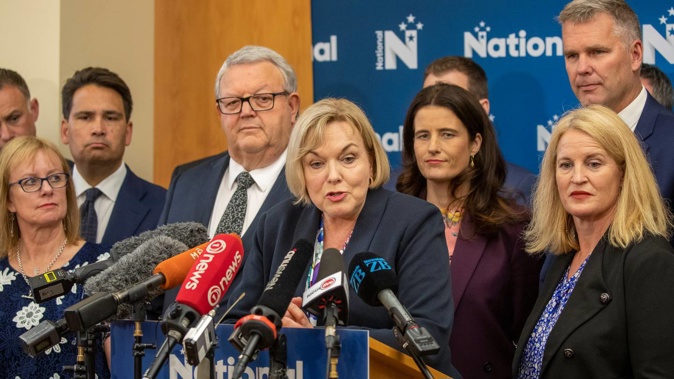 National leader Judith Collins and her MPs have promised to be a strong opposition to the Government. Photo / Mark Mitchell