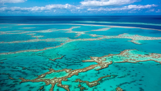 Great Barrier Reef. (Photo / Getty)