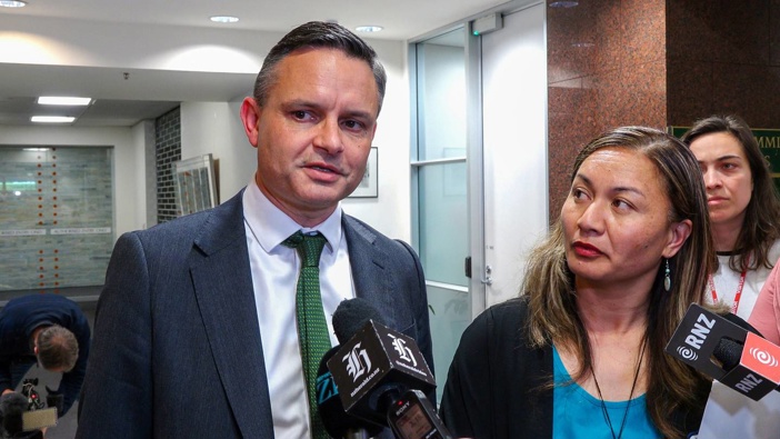 Green Party co-leaders James Shaw and Marama Davidson returning from their talks with the Labour Party leadership at Parliament yesterday. Photo / Mark Mitchell