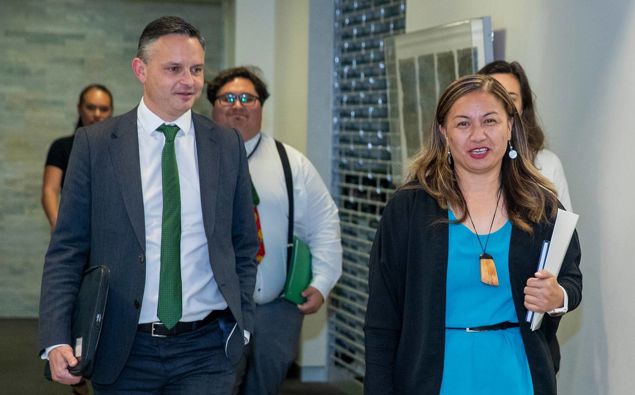 James Shaw and Marama Davidson. (Photo / NZ Herald)