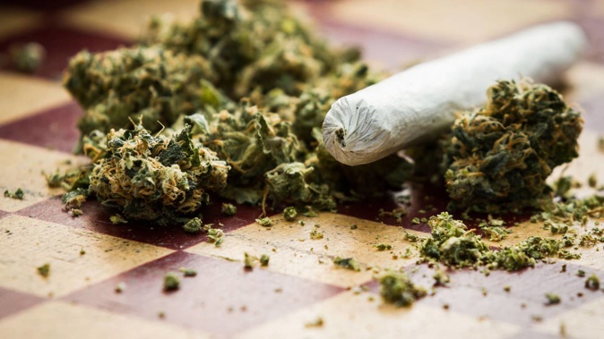 The preliminary results of the cannabis referendum were released at 2pm today. The final results will be released on November 6. Photo / 123rf