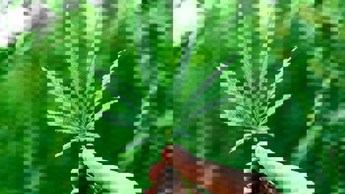 Photo / File