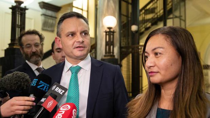 James Shaw and Marama Davidson. Photo / NZ Herald