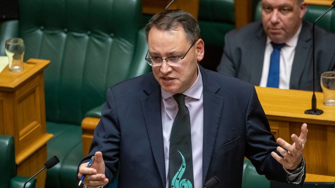 National Party health spokesman Dr Shane Reti during the General Debate in Parliament. Photo / Mark Mitchell