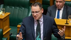 National's caucus elects Shane Reti as its deputy leader