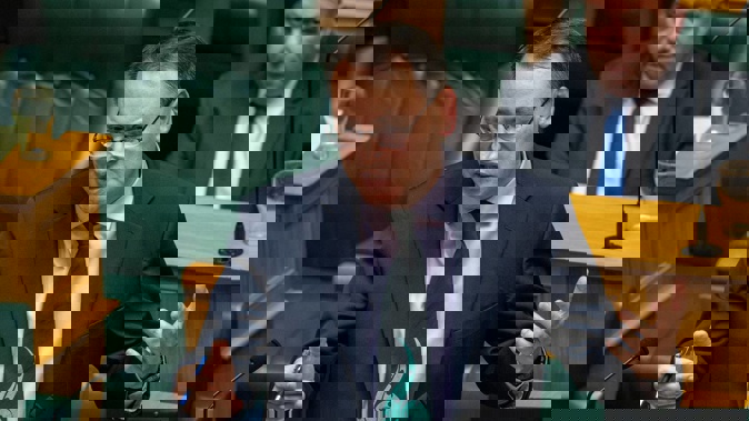 National Party health spokesman Dr Shane Reti during the General Debate in Parliament. Photo / Mark Mitchell