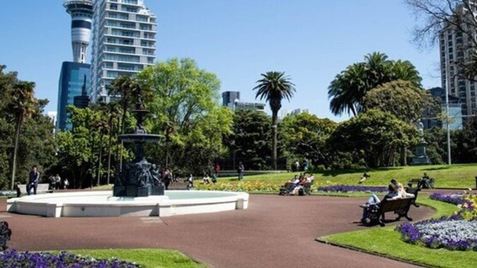 Family believed Raymond Luo tripped, fell and knocked his head on a hard object at Albert Park. Photo / File