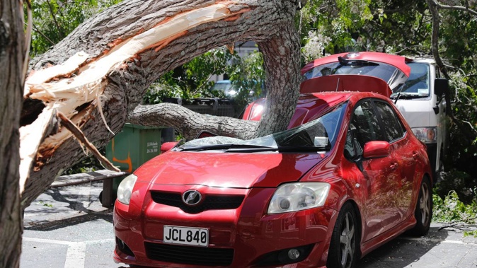 The falling tree seriously damaged a car parked in St Patrick's Square. (Photo / Dean Purcell)