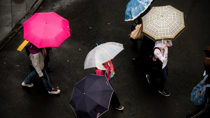 (Photo / NZ Herald)
