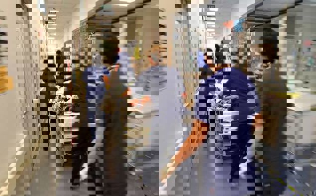 Photo / File