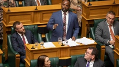 (Video / Parliament TV)