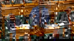 (Video / Parliament TV)