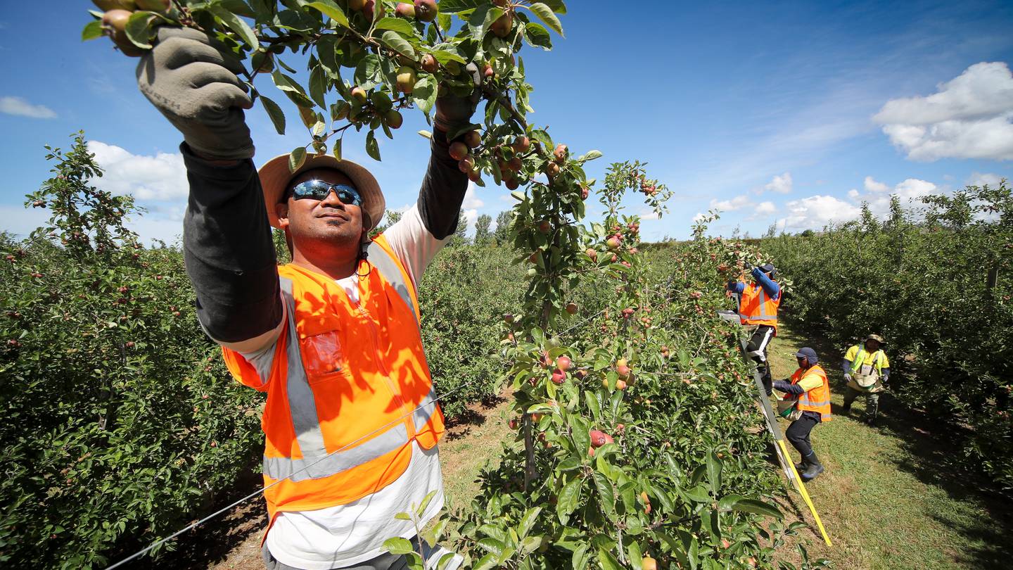  Photo / Warren Buckland