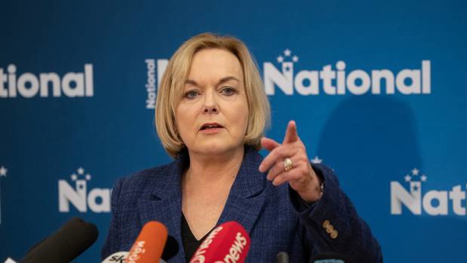 National leader Judith Collins. (Photo / NZ Herald)