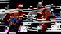 Martin Devlin: I stupidly fell for the grotesque Tyson v Jones circus act